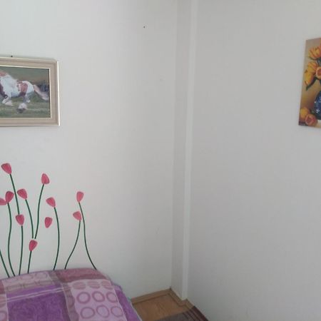 Hostel Trajan Donji Milanovac Exteriér fotografie